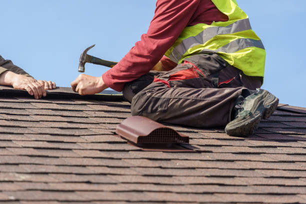 Best Storm Damage Roof Repair  in Rogersville, TN