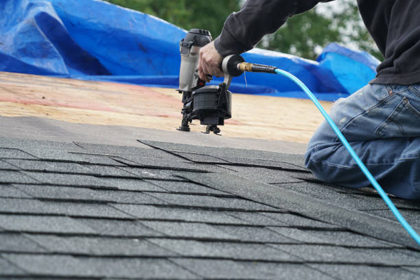Roof Gutter Cleaning in Rogersville, TN