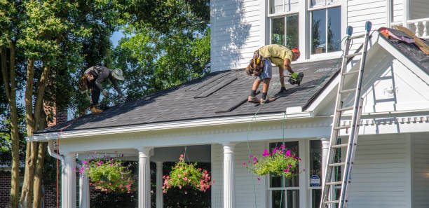 Best Roof Gutter Cleaning  in Rogersville, TN